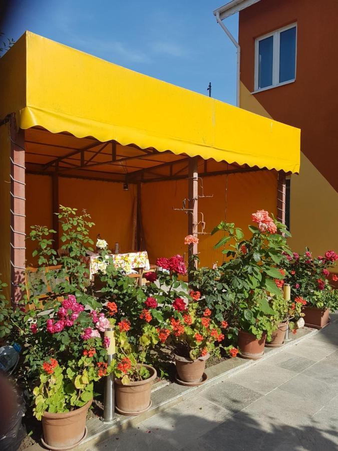 Vila Cozia Hotel Eforie Nord Buitenkant foto